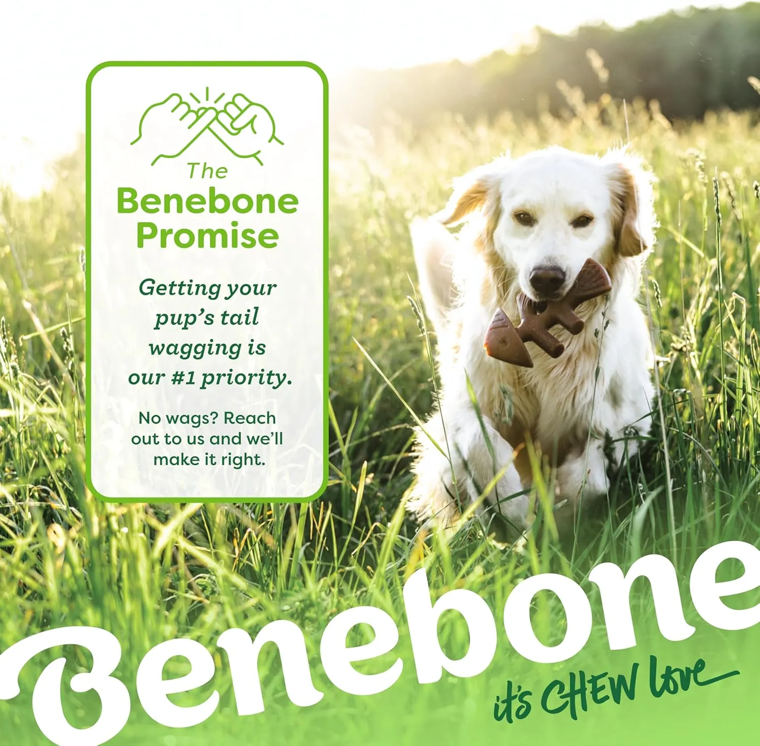 Benebone Paquete de 2 Juguetes masticables indestructibles de Espina de Pescado/Espina de Hueso de Hueso de Hueso de silbido par