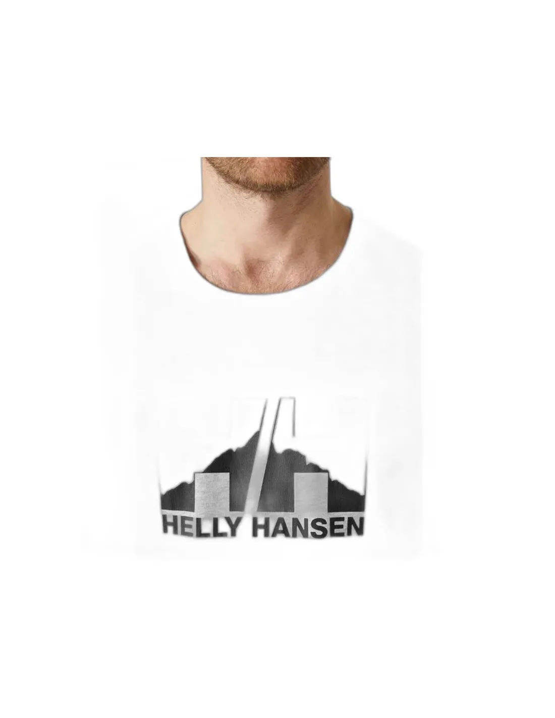 Camiseta de Montaña Helly Hansen Nord Graphic Hombre Gris