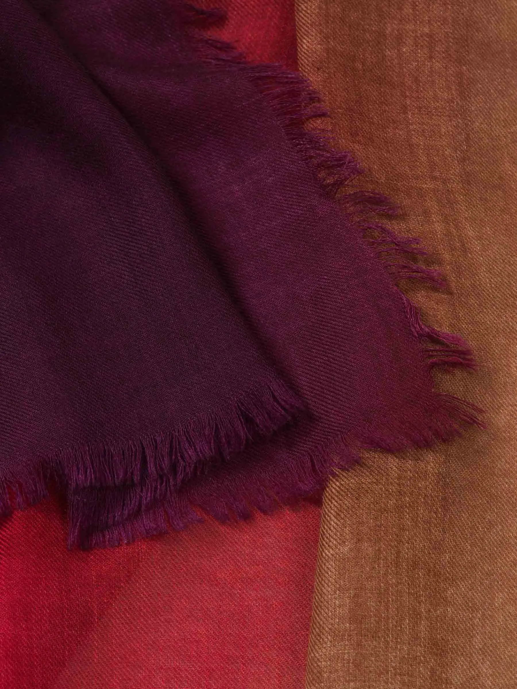 Cashà Fular Pavia Cashmere