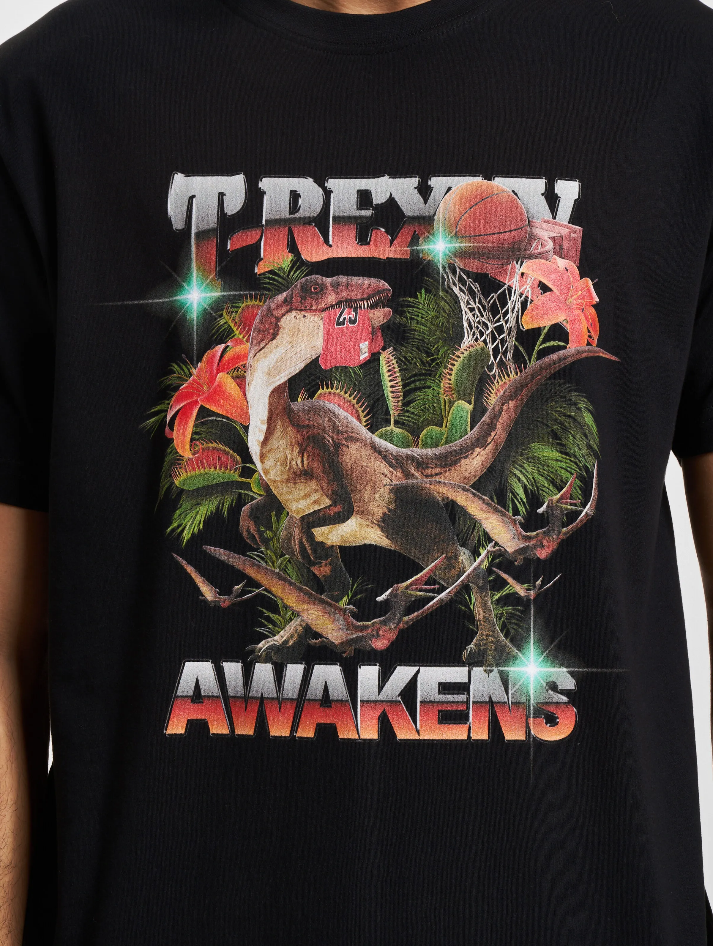 Mister Tee T Awakenes