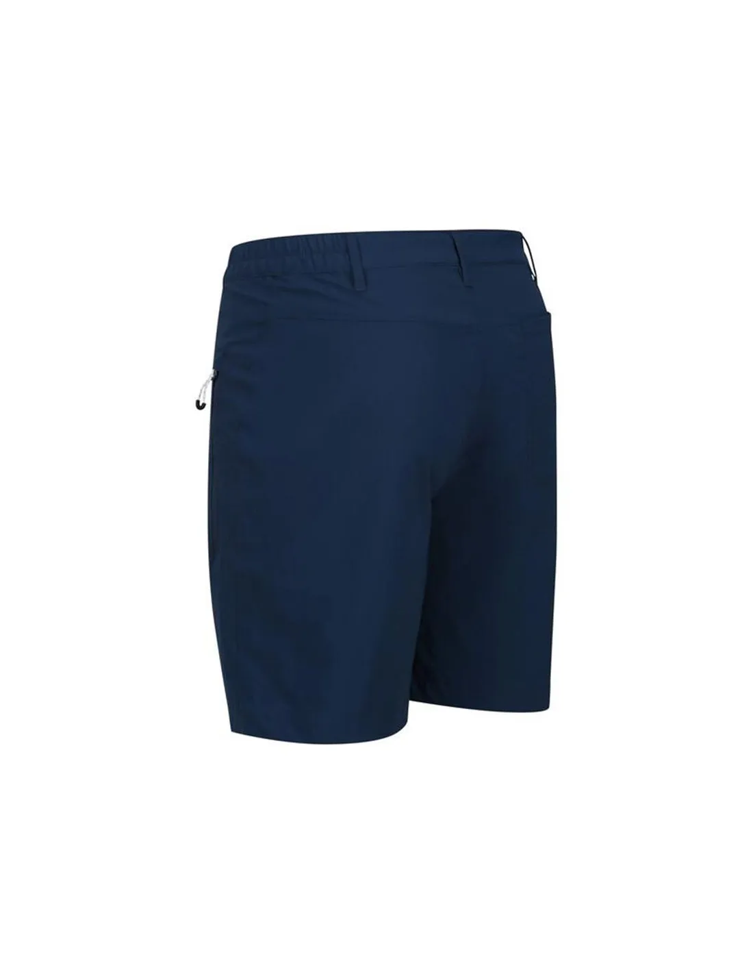 Pantalones de Montaña Regatta Highton Mid Blue Wing Hombre