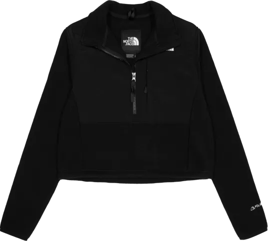 THE NORTH FACE DENALI CROP TSHIRT WOMEN