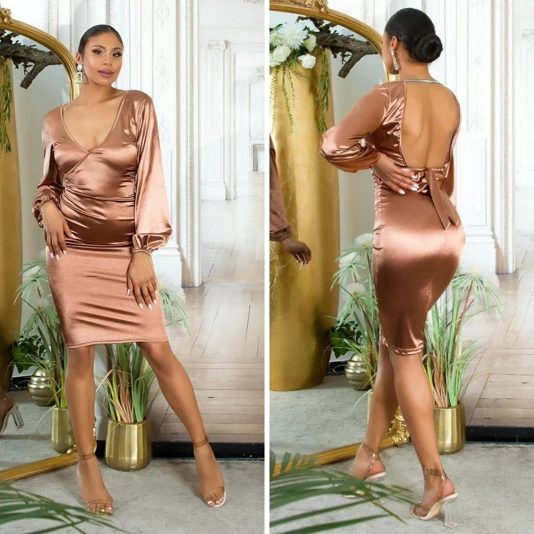 Vestido brillante y hermoso Marrón