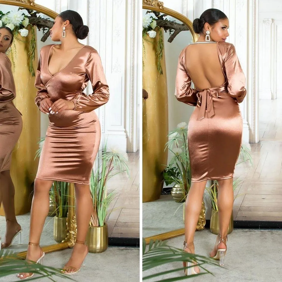 Vestido brillante y hermoso Marrón